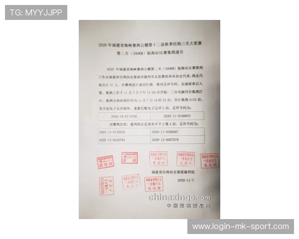 国际篮球联赛裁判评分复核委员会新增典型判例第14批通告，国际篮球裁判记录表