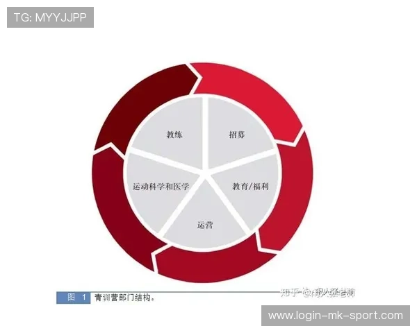2026年篮球联赛青训营志愿者管理系统新增心理支持资源库，篮球赛志愿者招募