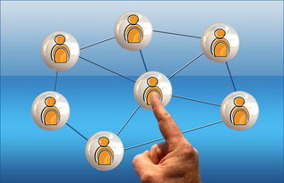 mk体育官网-新兴体育项目普及路径调研，新兴体育项目普及路径调研方案