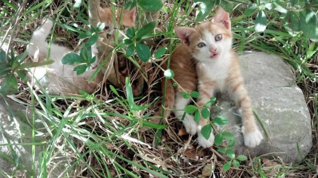 mk体育官网入口-中国三人女篮细节训练不断完善，中国三人女篮队员名单照片