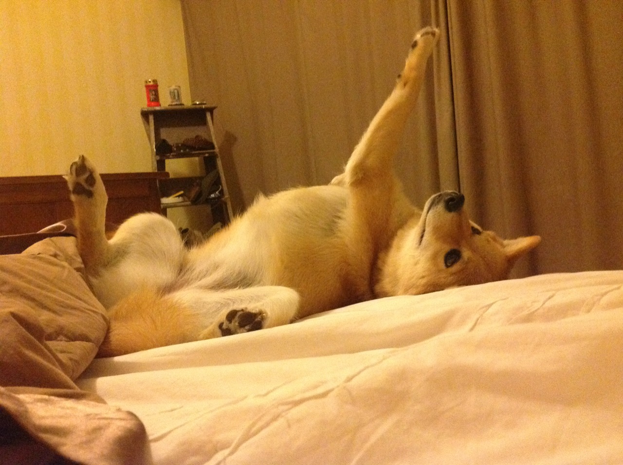 mk体育官网-中超联赛中国青年队战平 技术风格有待提升，中国青超联赛介绍