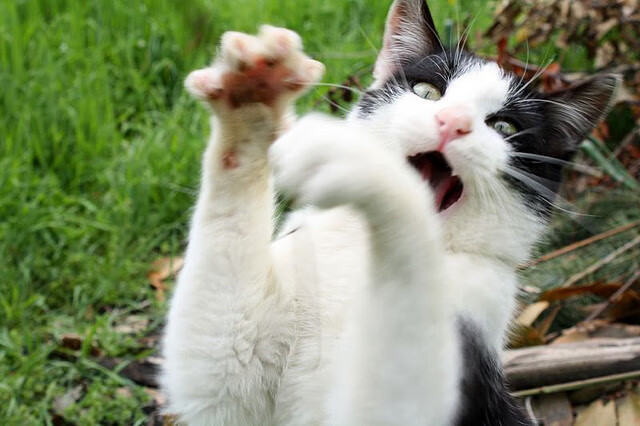 mk体育官网入口-体育医疗车配备智能监控系统提升响应力，体育医疗箱里备什么