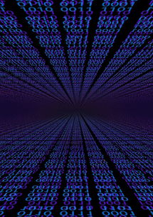 mk体育官网-体育新闻中心亮相世界体育科技大会，2020国际体育十大新闻