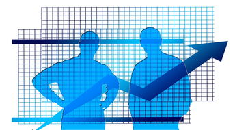 mk体育官方网站-攀岩比赛引入透明计分板提升公平透明度，攀岩怎么看分数  第2张