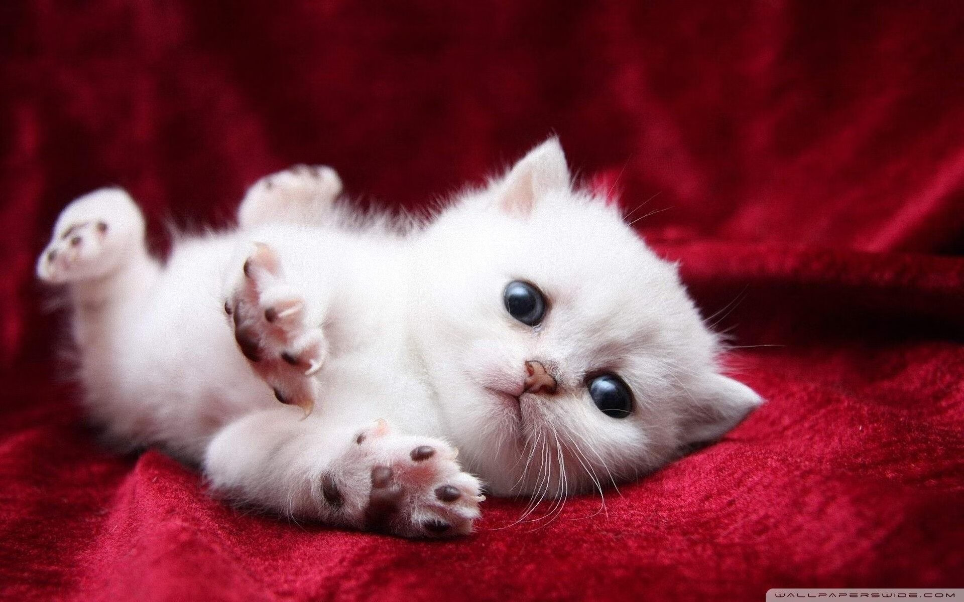 mk体育平台网页版入口-联盟中最擅长节奏控制的教练战术分析，英雄联盟教练joker