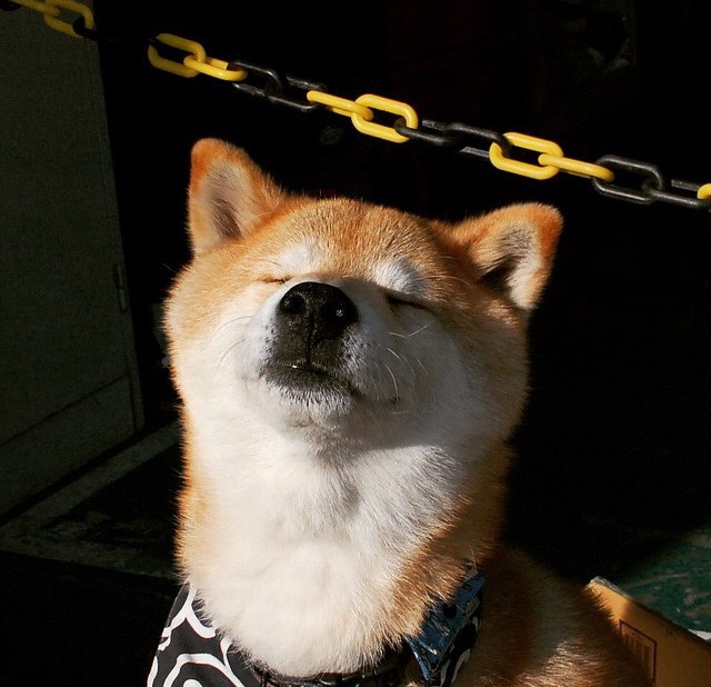 mk体育网页-青训体系与职业联赛衔接不畅，青训队和职业队的区别