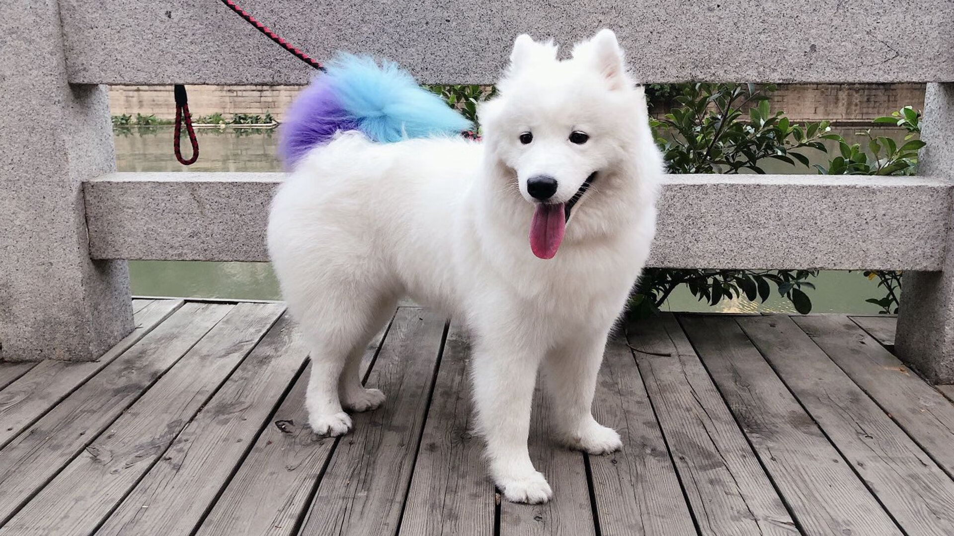 mk体育下载-马术体验课走进小学课堂深受学生喜爱，马术课程内容