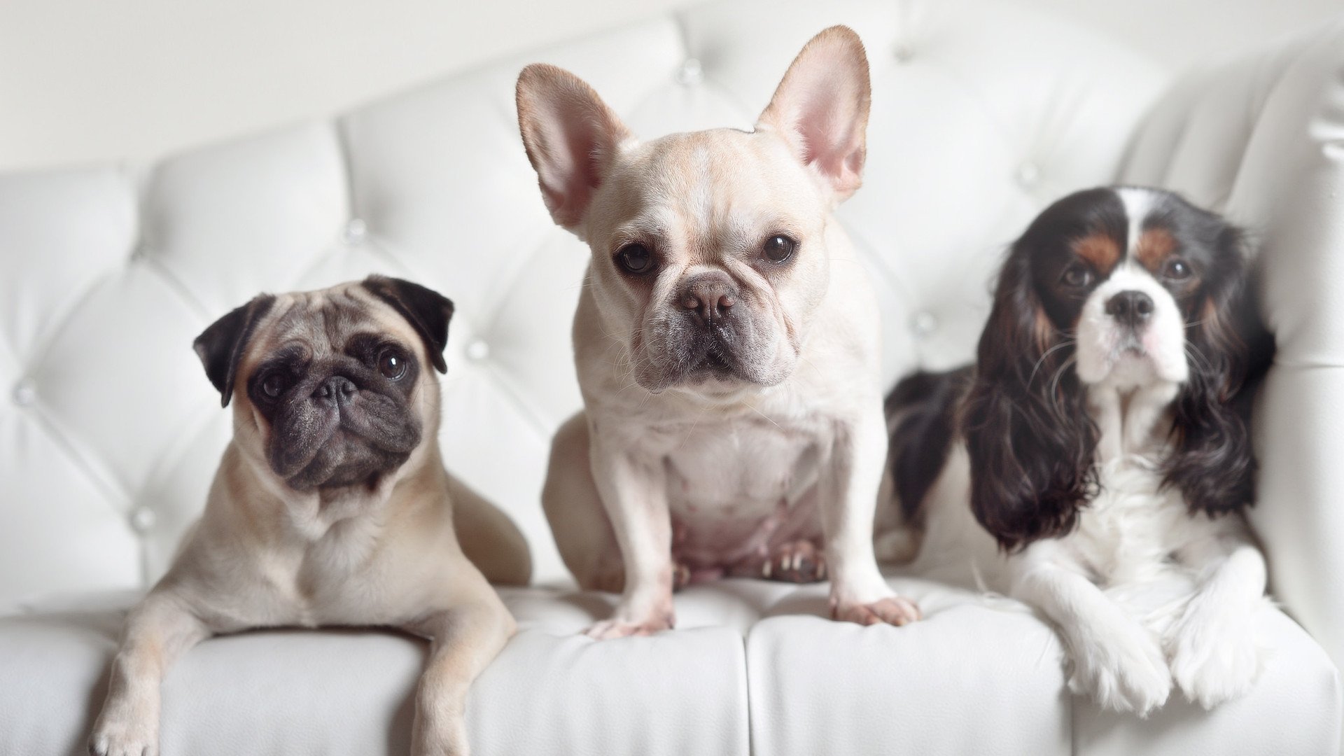 mk体育官方网站-CBA加强赛场规则宣传提升比赛规范执行力，cba规章制度