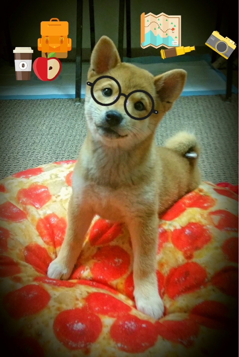 mk体育平台网页版入口-中国足球职业联赛裁判技术辅助系统升级完善，中国足球裁判考试