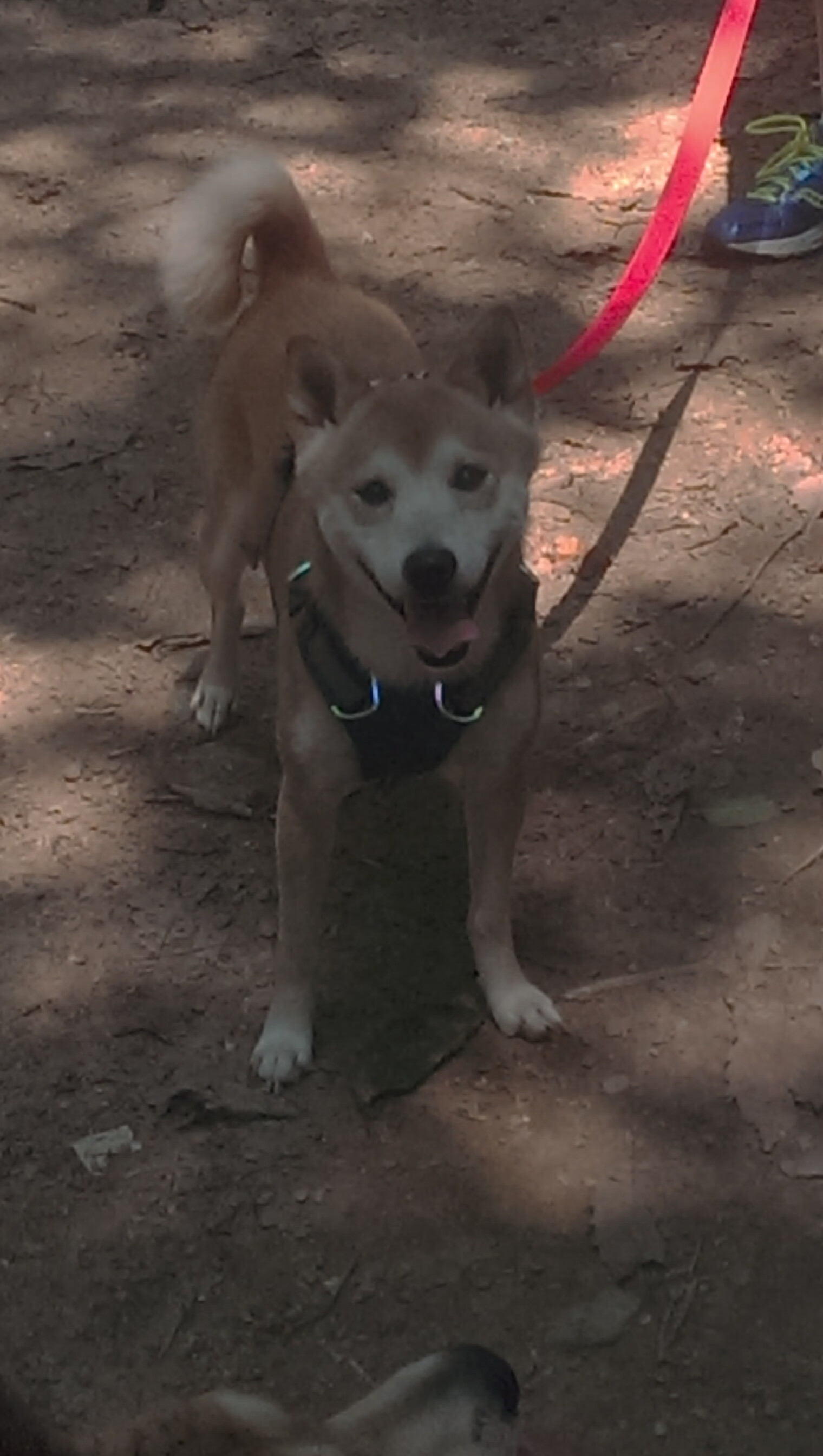 mk体育平台网页版入口-中国足球职业联赛裁判技术辅助系统升级完善，中国足球裁判考试