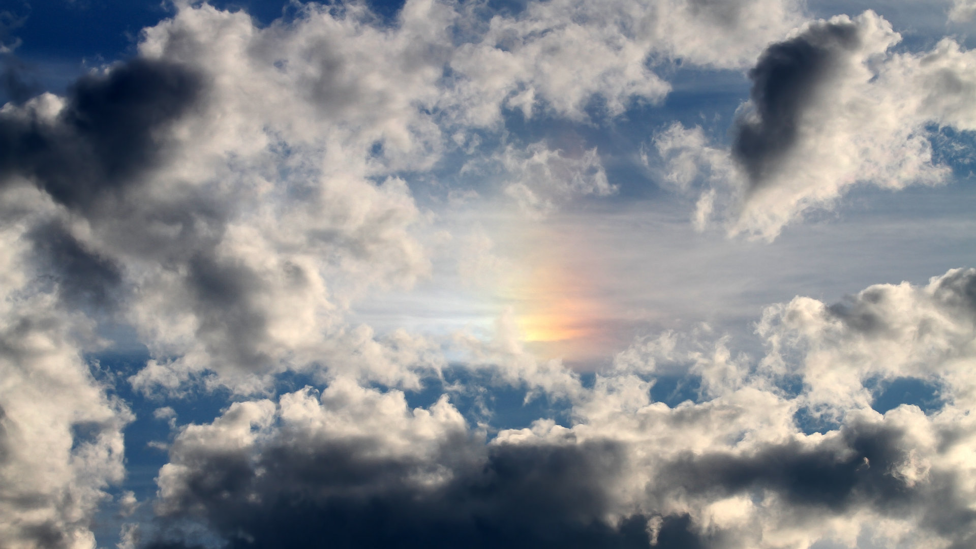 mk体育-决赛场上 麦克沃伊领先优势明显，麦克沃特