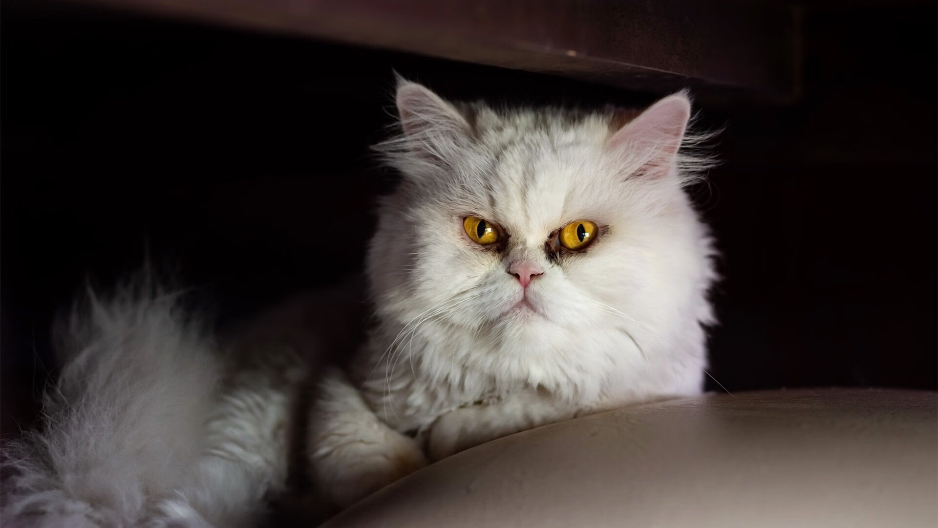 mk体育平台登录入口-卢森堡男篮史上首次亮相国际大赛，备战中展现实力