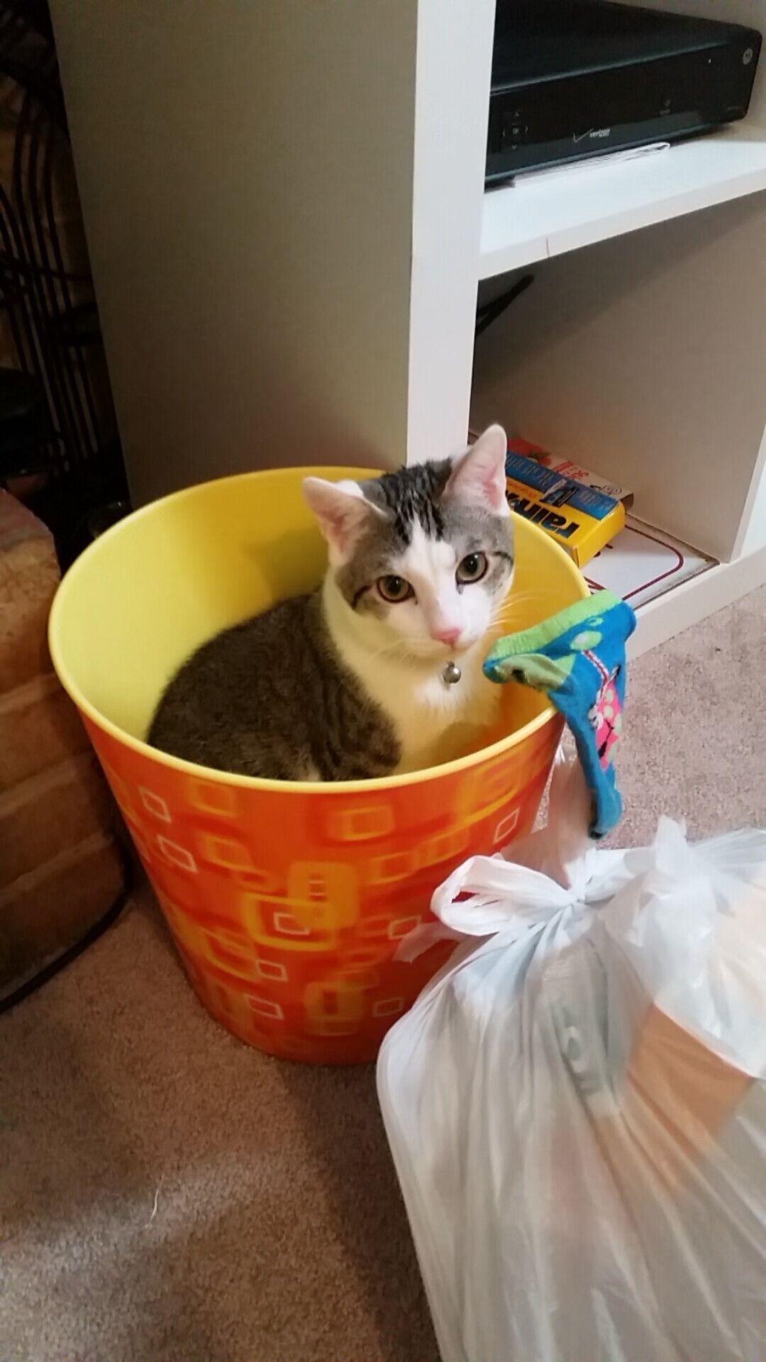 mk体育现在-希腊女篮在欧洲锦标赛中再夺金牌，传统强队不倒决心坚如磐石，希腊男篮欧锦赛