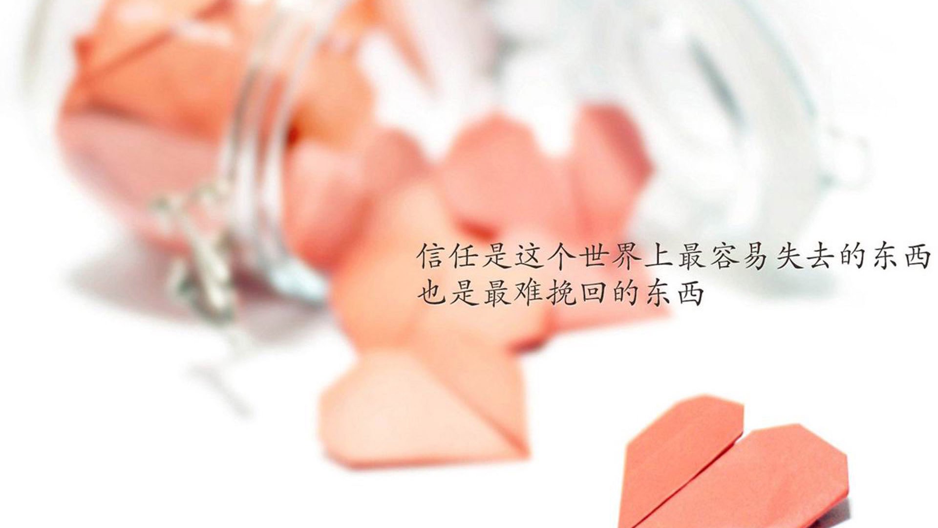 mk体育官网-澳大利亚橄榄球赛事吸引更多全球品牌投资,市场潜力无限,澳大利亚橄榄球队