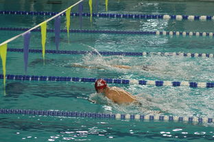 mk体育现在-自由泳预赛突尼斯多人晋级,自由泳2021