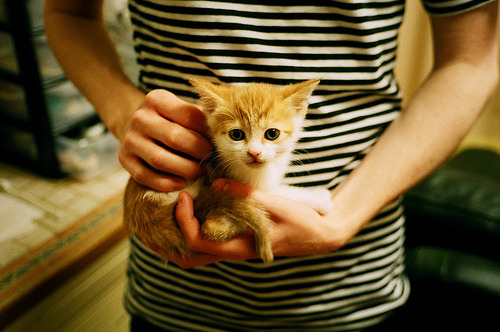 mk sport-雷霆小前锋新造型引球迷热议,雷霆队小前锋