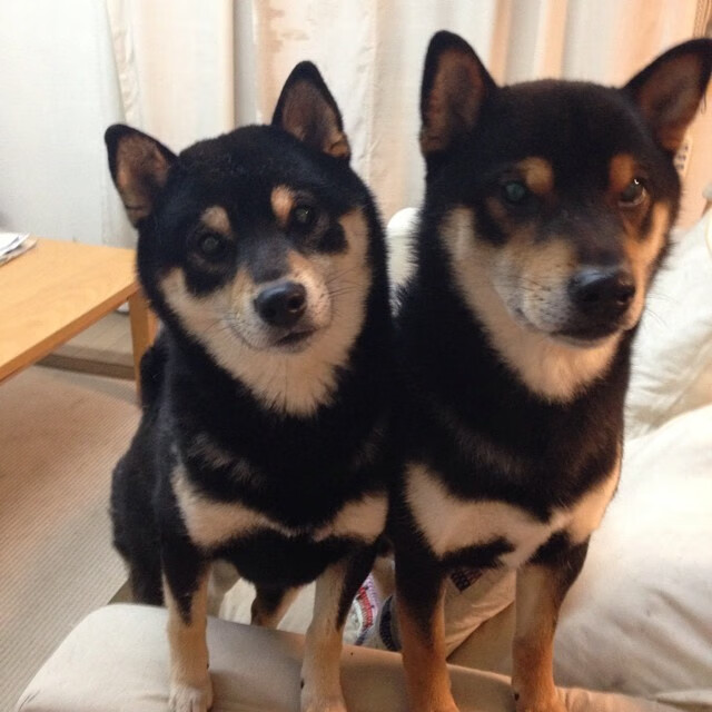 mk体育网页-青训赛事全面引入在线回放系统辅助教练复盘训练,青训预览