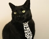 mk体育平台登录入口-Bussola 再次用战术布局影响比赛形势