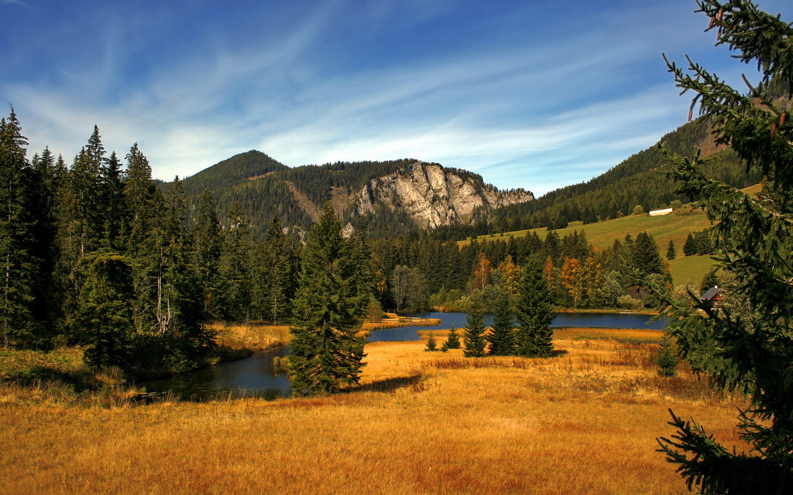 mk体育官方网站-Flores商业价值持续攀升，商业价值高是什么意思